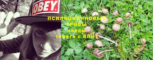 прущая мука Балабаново
